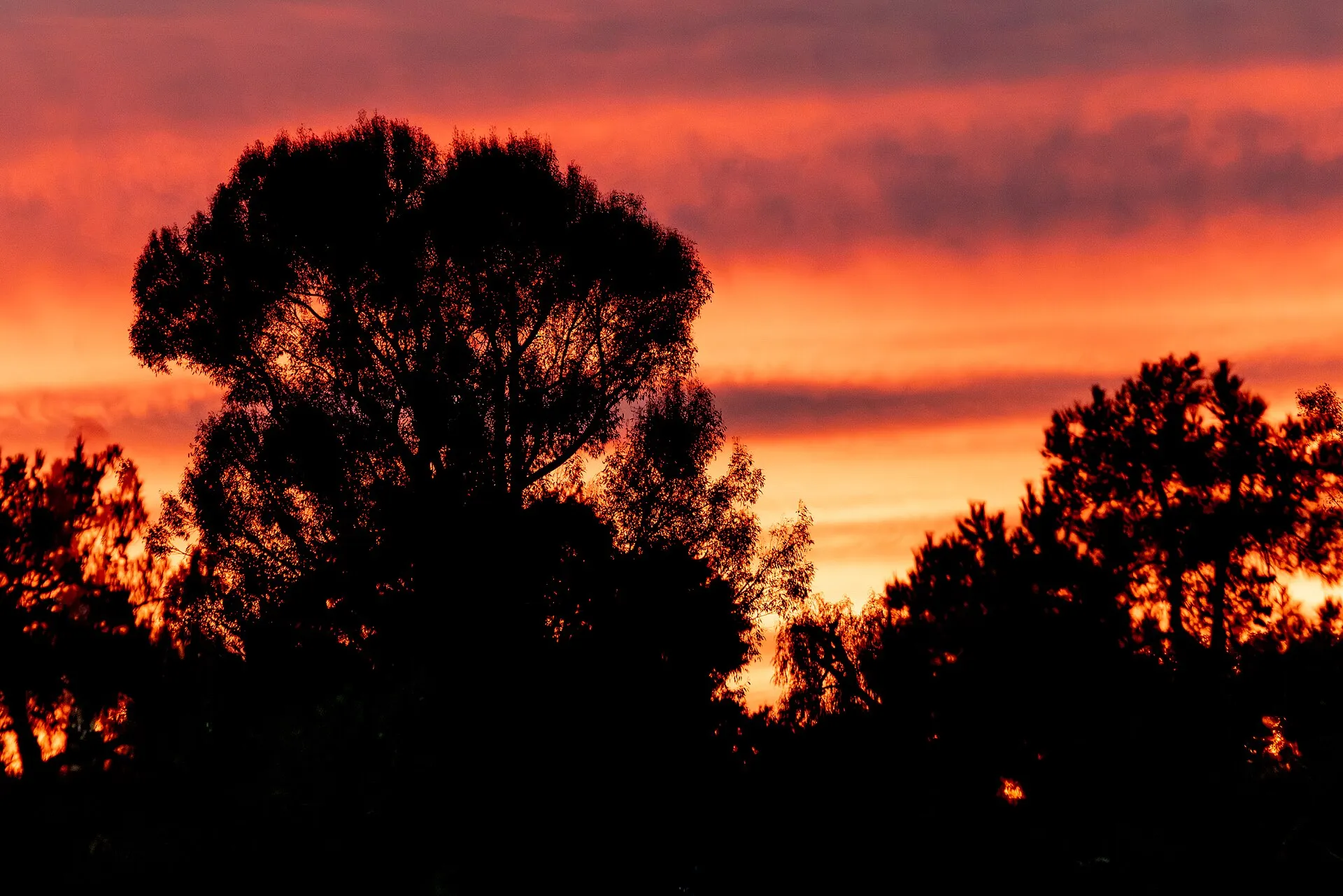 Sunset over the Santa Clarita Valley